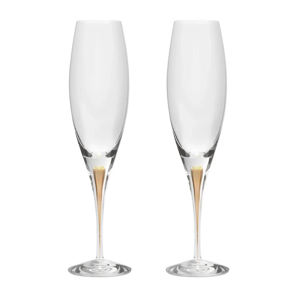 Intermezzo champagneglass 26 cl 2-pakning v:4475437 Intermezzo champagneglass 26 cl 2-pakning v:4475437