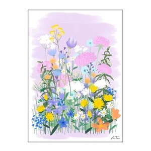 Anna Thomsen poster 50×70 cm field of flowers no2 v:8533159