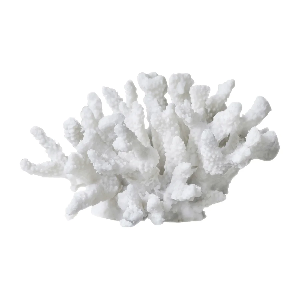 Coral branches white v:6434127 Coral branches white v:6434127